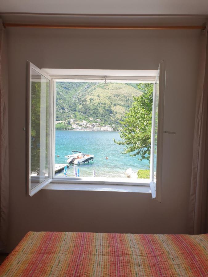Savic Apartments Kotor Exterior foto